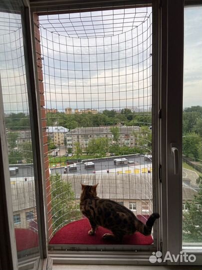 Балкончик для кошки