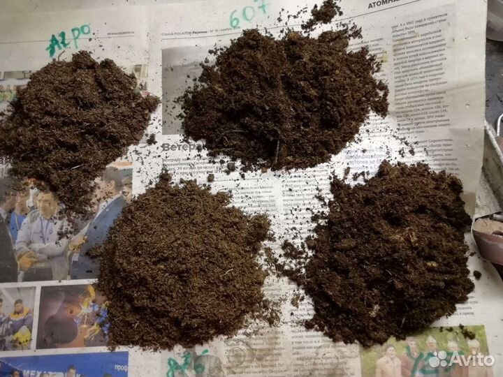 Класманн (торф), Агробалт, двина (белорусский торф