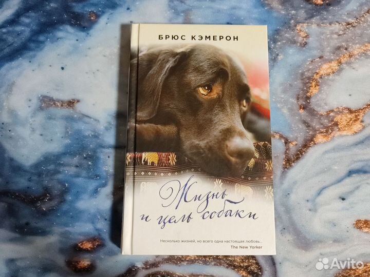 Жизнь и цель собаки