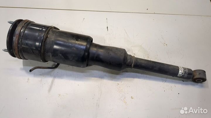 Амортизатор подвески Lexus LS460, 2010