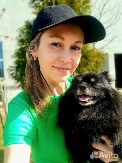 Стрижка собак, груминг