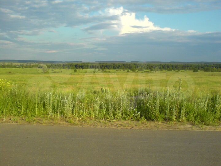 Участок 5 га (СНТ, ДНП)