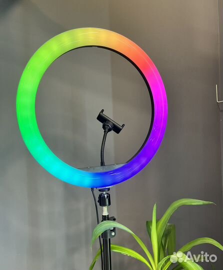 Кольцевая светодиодная лампа