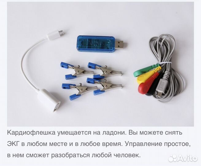 Экг флешка для животных