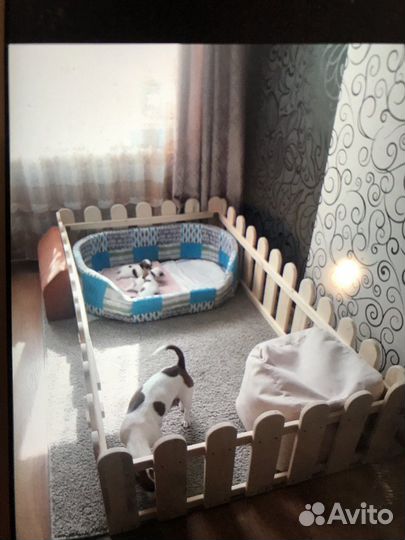 Вальеры для собак бу