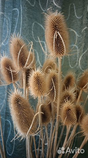 Сухоцветы.Интерьерный букет