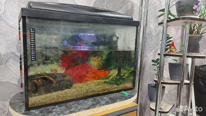 Аквариум 60л