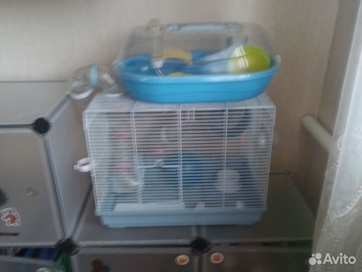 Клетка для грызунов