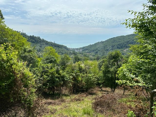 Участок 39 сот. (ИЖС)