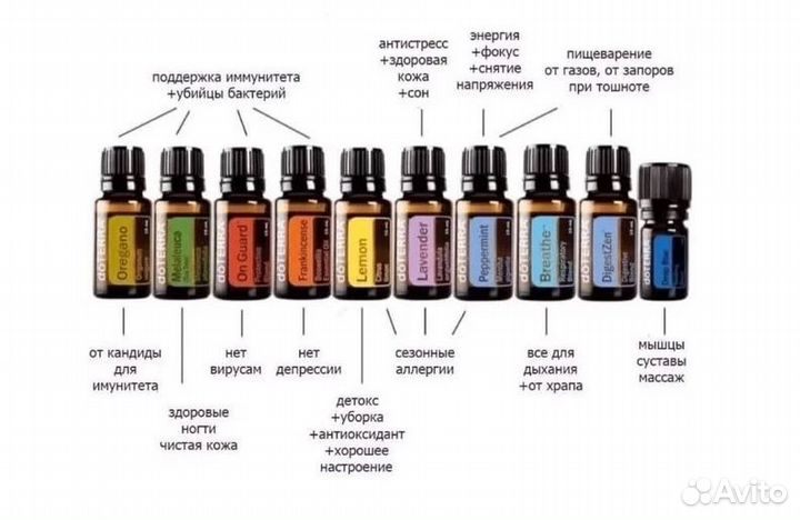 Эфирный дом + курс 