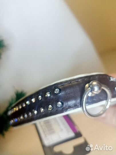 Ошейник для собаки