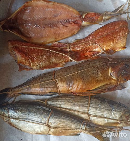 Рыба горячего копчения