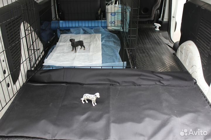 Зоотакси. Грузоперевозки