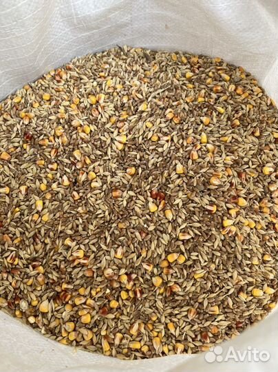 Зерносмесь