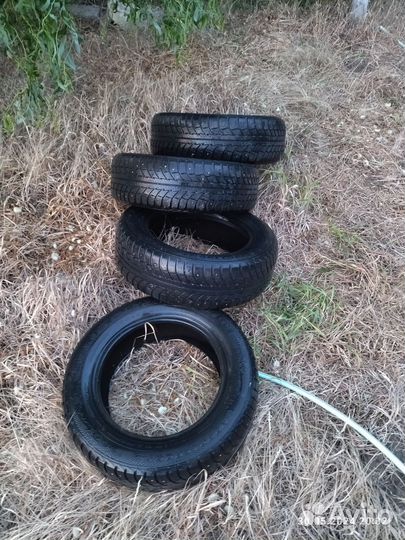 Gislaved Nord Frost 5 185/65 R15