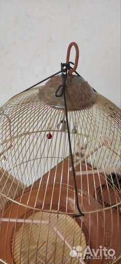 Клетка для птиц