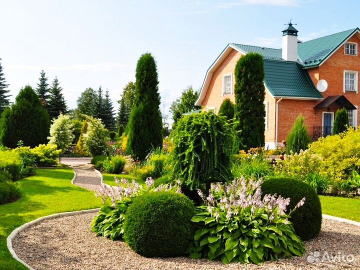 Готовый дизайн проект 10 соток дачного участка \ Н