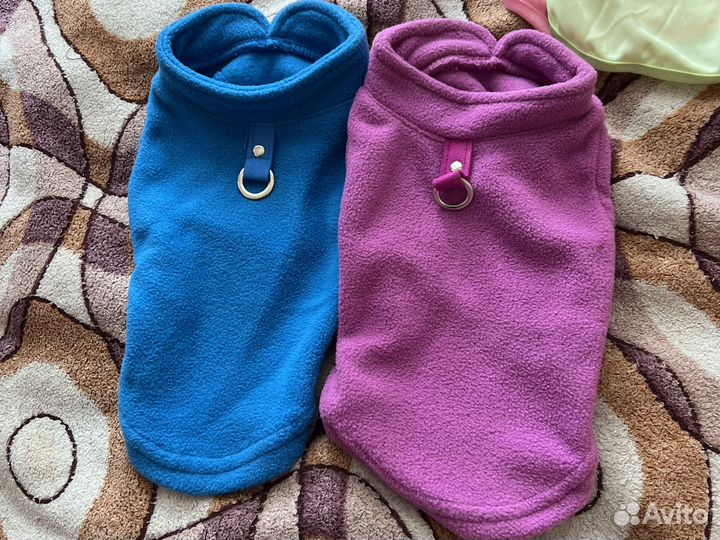 Одежда для животных