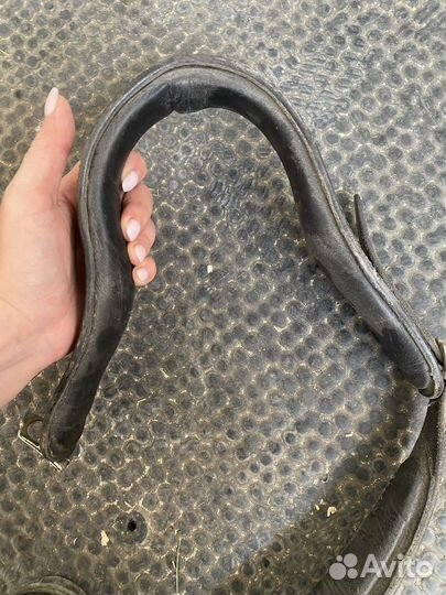 Ошейник от прикуски