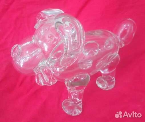 Собака -стекло