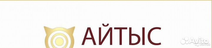 Водитель легкового автомобиля