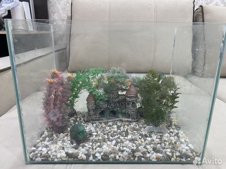 Готовый аквариум
