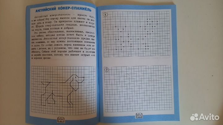 Дидактические материалы 1й класс пакетом