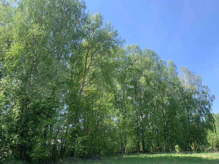 Участок 26 сот. (ИЖС)