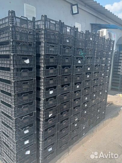 Пластиковые ящики для овощей и ягод бу