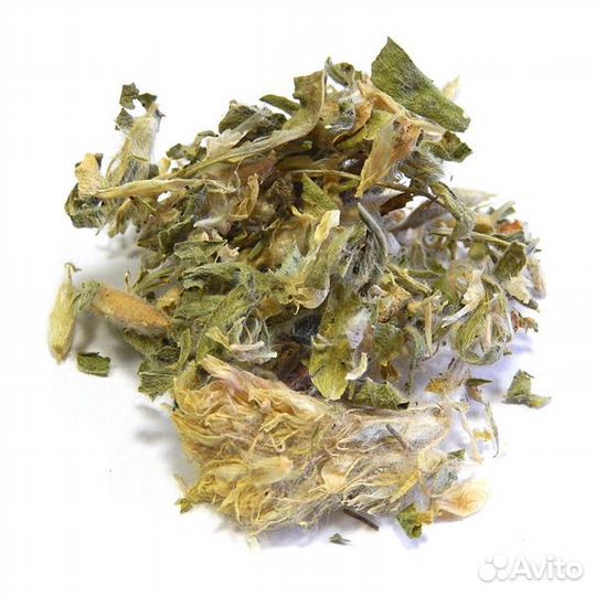 Астрагал шерстистоцветковый сушеный (трава)