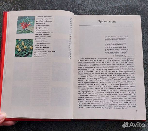 Артамонов В.И. Редкие и исчезающие растения, кн. 1