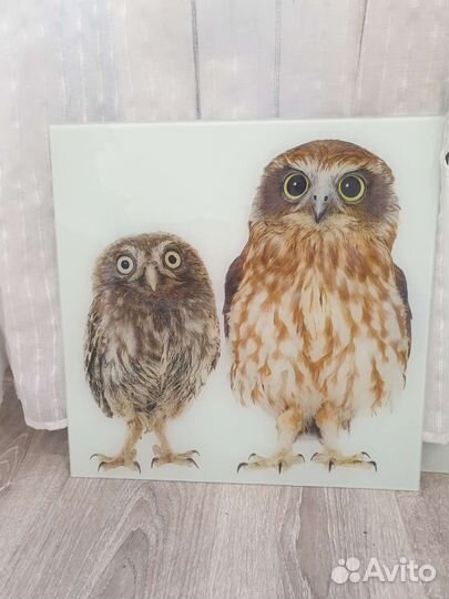 Картины на стекле Сова