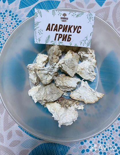 Агарикус лиственнная Губка / Алтей корень с Алтая