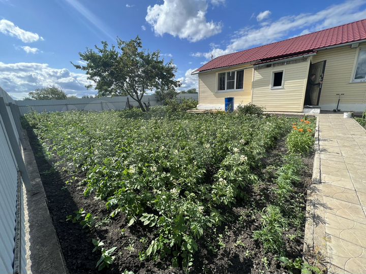 Дом 54,3 м² на участке 12 сот.