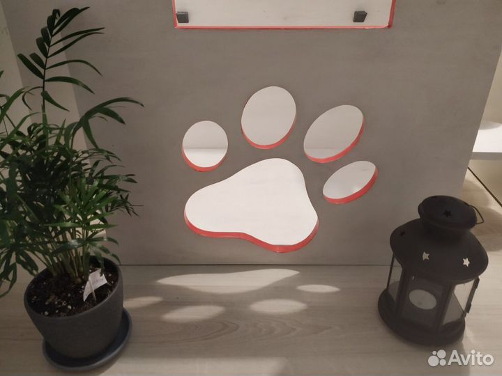 Родильный дом для кошек