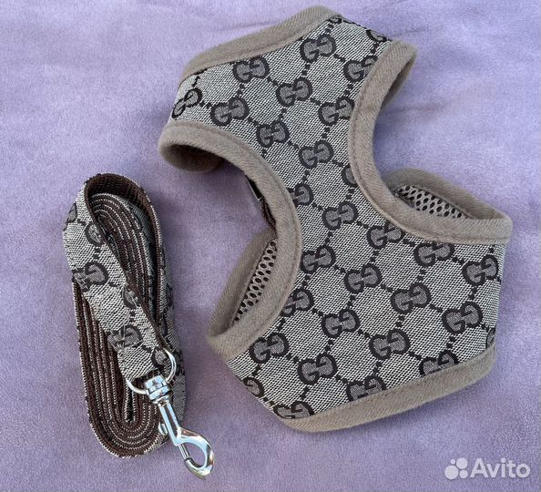 Брендовая шлейка для собак Gucci, Burberry+поводок