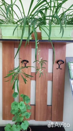 Вешалка для одежды напольная деревянная