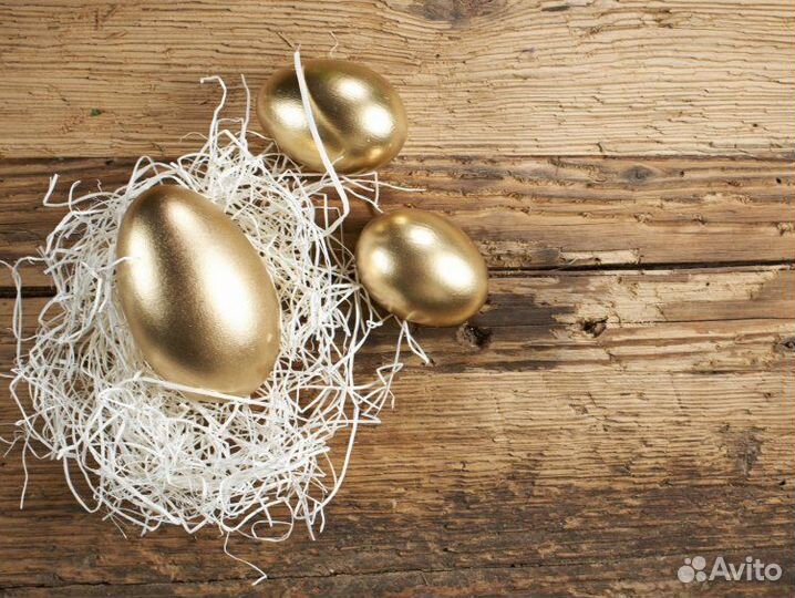 Инкубационное яйцо