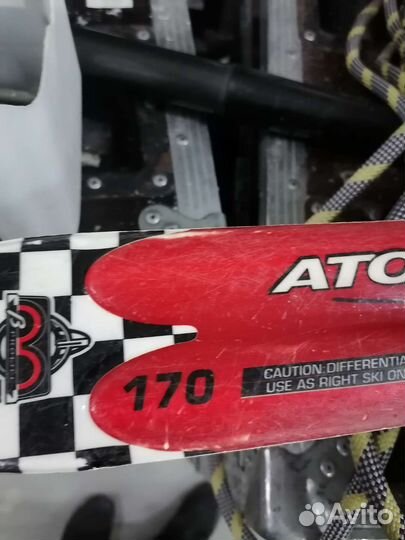 Горные лыжи