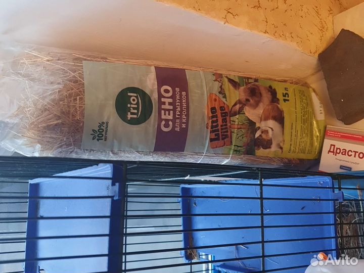 Клетка для дегу