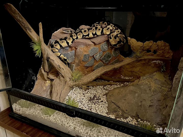 Террариум 60x45x45 см, NomoyPet