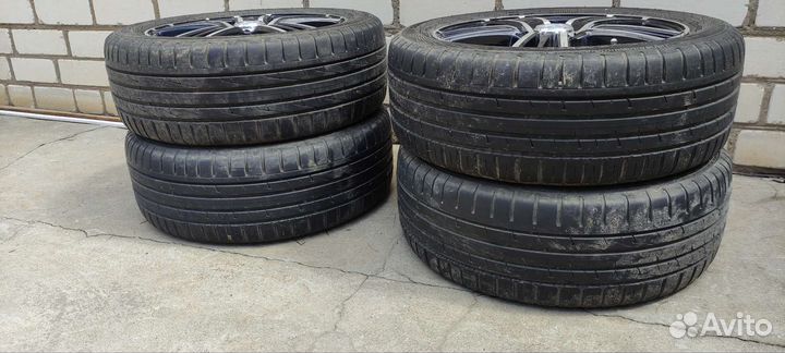 R15 Hakka blue 2 + Nitro N2O Y3118