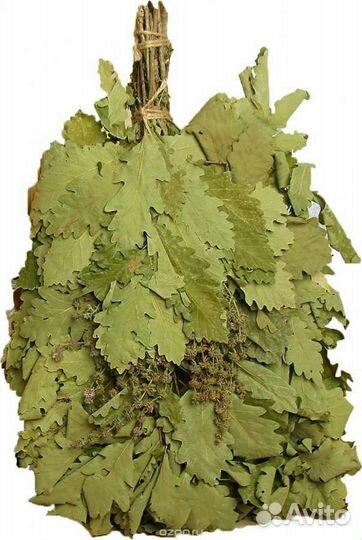 Веники дубовые