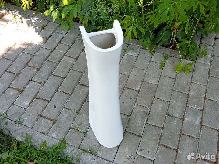 Раковина тюльпан