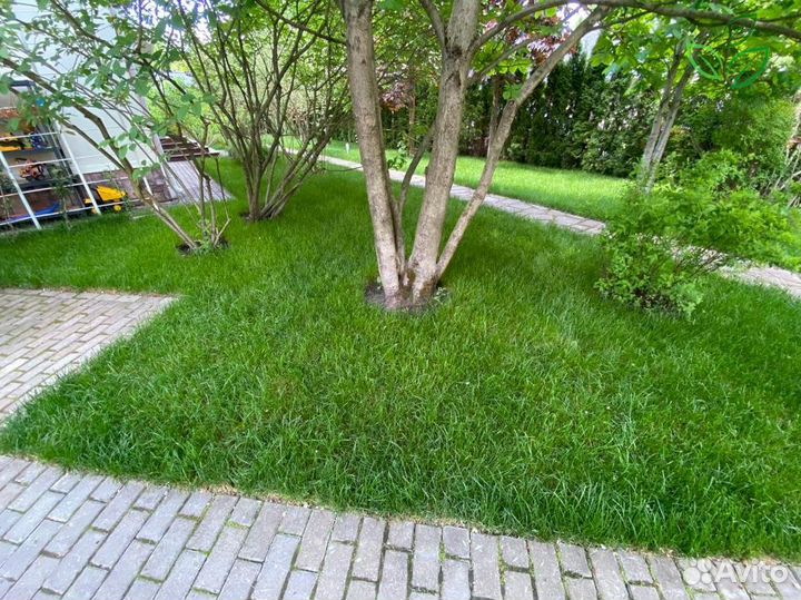 Рулонный газон универсальный