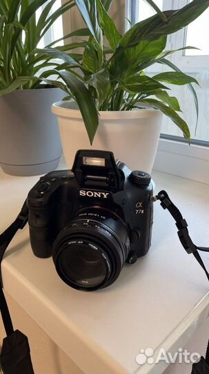 Фотоаппарат Sony a77 ii
