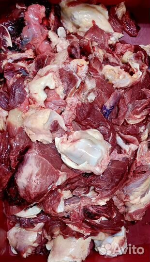 Мясо для собак с бесплатной доставкой