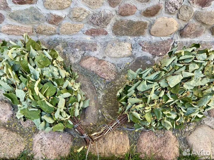 Банный веник