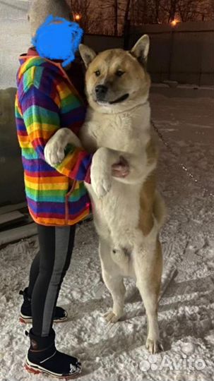 Вязка кабеля