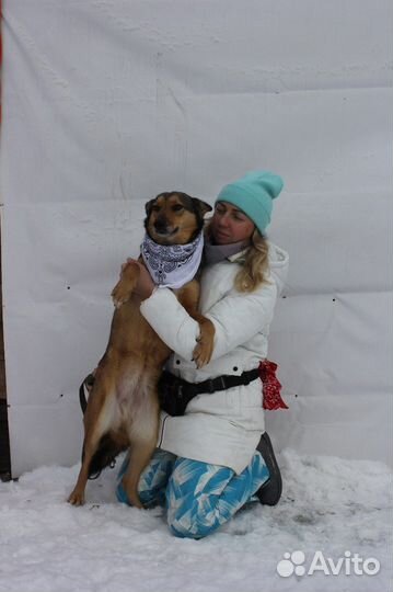 Ася-молодая и симпатичная девочка ищет дом